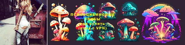 винт Арсеньев
