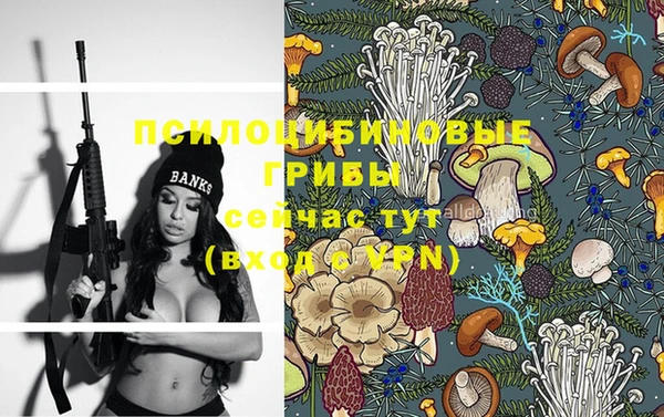 Альфа ПВП Аркадак